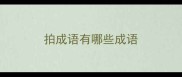 拍成语有哪些成语