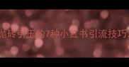 爆款pao出流量密码抛砖引玉的7种小红书引流技巧手把手教你涨粉破万