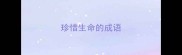 珍惜生命的成语