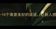 婚礼祝福成语合集1-10个寓意美好的成语让新人感动落泪新婚必备