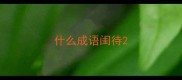什么成语闺待
