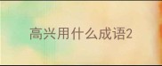 高兴用什么成语