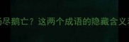 空穴来风汤尽鹅亡这两个成语的隐藏含义和正确用法