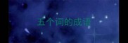 五个词的成语