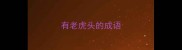 有老虎头的成语