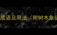 15个形容参天大树的成语及用法附树木象征意义与文学应用