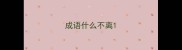 成语什么不离