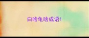 白啥龟啥成语