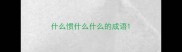什么惯什么什么的成语