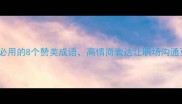 领导讲话必用的8个赞美成语高情商表达让职场沟通更得体