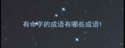 有命字的成语有哪些成语