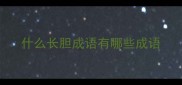 什么长胆成语有哪些成语