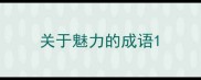 关于魅力的成语