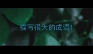 描写很大的成语