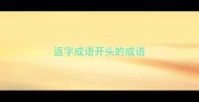返字成语开头的成语