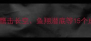 和老鹰相关的成语大全鹰击长空鱼翔潜底等15个成语适合学生党积累干货