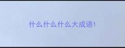什么什么什么大成语