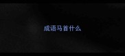 成语马首什么