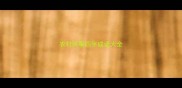 农村丧事四字成语大全