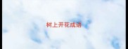 树上开花成语