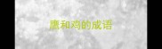 鹰和鸡的成语
