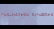 成语谐音羊在第二的成语有哪些这3个成语既有趣又实用