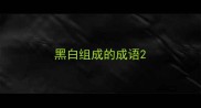 黑白组成的成语