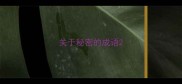 关于秘密的成语