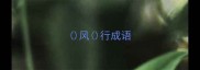 风行成语