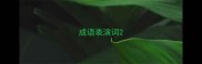 成语表演词