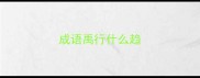 成语禹行什么趋