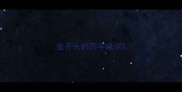 金开头的四字成语
