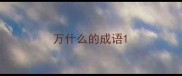 万什么的成语