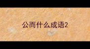 公而什么成语