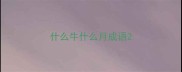 什么牛什么月成语