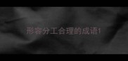 形容分工合理的成语