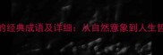 10个含有弧字的经典成语及详细从自然意象到人生哲理的智慧密码