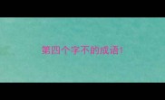 第四个字不的成语