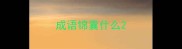 成语锦囊什么