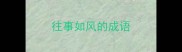 往事如风的成语