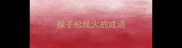 猴子松鼠火的成语