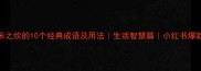 有米之炊的10个经典成语及用法生活智慧篇小红书爆款文案
