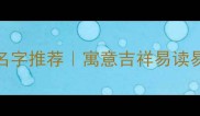 男孩女孩四字成语名字推荐寓意吉祥易读易记的爆款起名指南