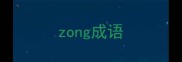 zong成语