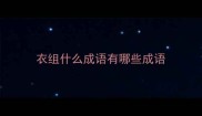 衣组什么成语有哪些成语
