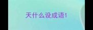 天什么设成语
