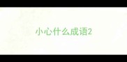小心什么成语
