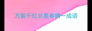 万紫千红总是春猜一成语