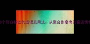 10个形容畅饮的成语及用法从聚会到宴席的豪迈情怀