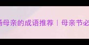 10个最温暖赞扬母亲的成语推荐母亲节必看文案灵感库